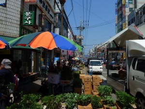 Main Street of our Town