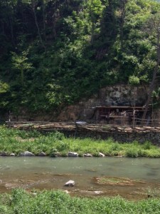 Apartment Vege Garden