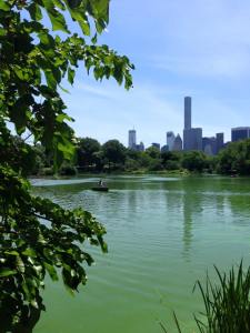 Central Park 1